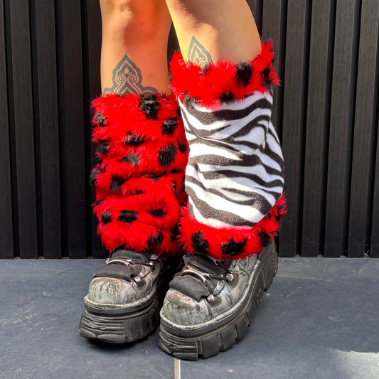 Zebra X Lady Bird Mid-Length Leg Warmers